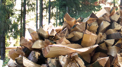 Brennholzstapel im Wald
