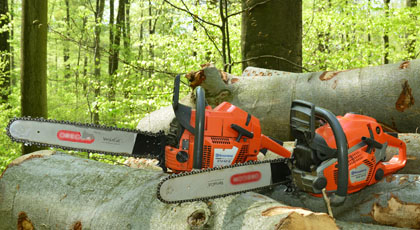 Zwei Motorkettensägen auf einem Holzhaufen im grünen Laubwald