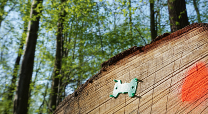 Anschnitt eines Holzpolters mit Marke und Farbspraykennzeichnung; dahinter ist ein grüner Laubwald im Sommer abgebildet