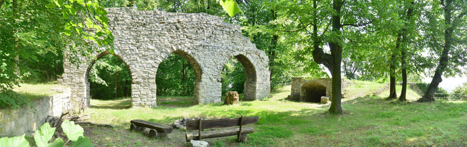 Rest einer mittelalterlichen Mauer mit drei Rundbögen in einem sommerlich grünem Laubwald