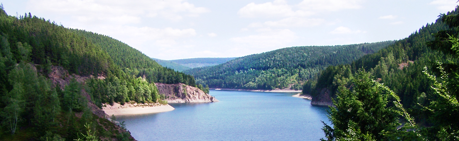 Blick in eine Landschaft, die an Norwegen erinnert: Talsperre in mitten von mit nadelbäumen bewachsenen Hügeln.