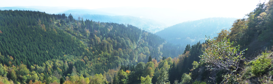 Ausblick auf das Panorama des Thüringer Waldes mit sanften Höhenzügen, die mit dem Horizont verschmelzen