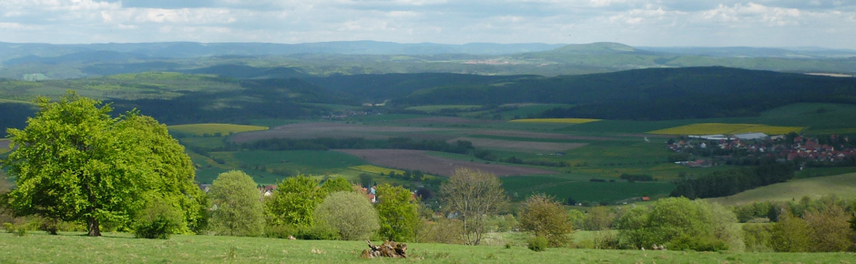 Blick in die sanft geschwungene Landschaft des Thüringer Schiefergebirges in allen Grünnuancen